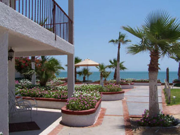 Condos In San Felipe Mexico