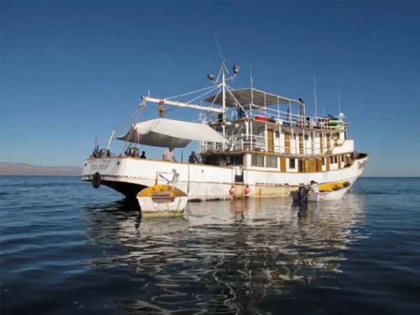 Sport Fishing Bot Charters and tours