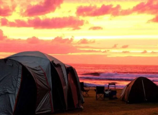  Cosas que hacer en una playa de San Felipe 