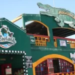 Vida Nocturna, Bares, Antros y Vida Nocturna en San Felipe