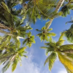 Clima en San Felipe en Abril