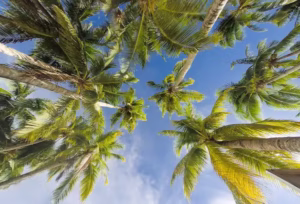 Clima en San Felipe en Abril