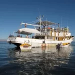 Tony Reyes Fishing Tours San Felipe Baja California Mexico