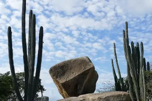Valle de los Gigantes San Felipe Baja California Mexico