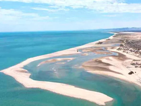 Percebu Baja California