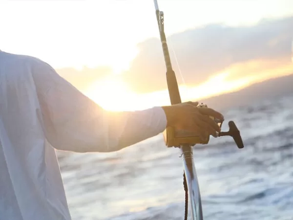 Baja California Sea of Cortez Fishing Charters