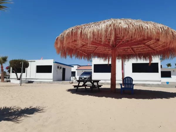 Beachfront Houses and Bungalows for Rent