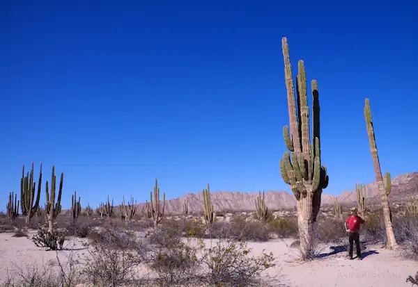 Enjoying the Beauty of Valle de los Gigantes