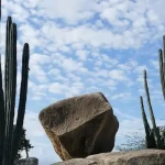 Valley of the Giants or Valle de los Gigantes San Felipe Baja California Mexico