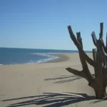 Where is San Felipe Located?