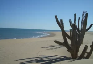 Where is San Felipe Located?