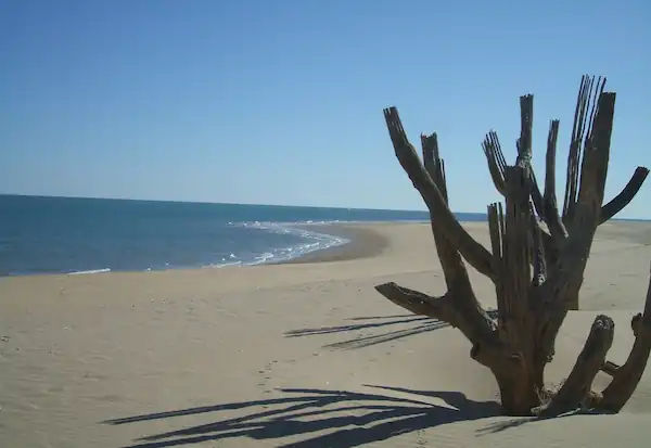 Where is San Felipe Located?